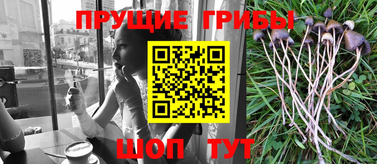 Псилоцибиновые грибы мухоморы Семилуки